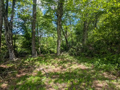 19.27 Acres For Sale in Meadows of Dan, Virginia - image 15