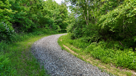 19.27 Acres For Sale in Meadows of Dan, Virginia - image 18