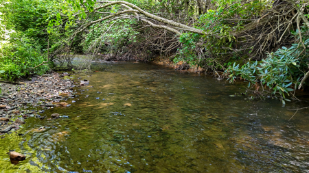 19.27 Acres For Sale in Meadows of Dan, Virginia - image 10