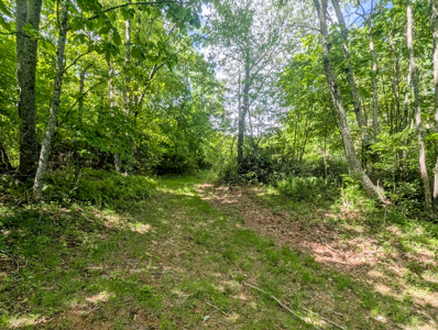 19.27 Acres For Sale in Meadows of Dan, Virginia - image 22