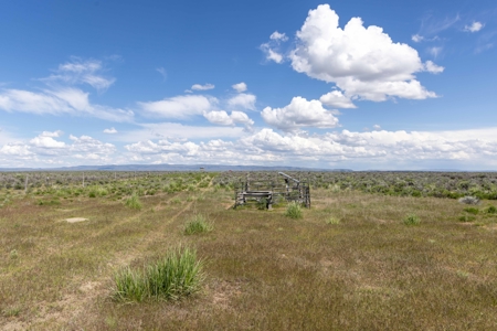 Eastern Oregon Country Sage Acres - image 2