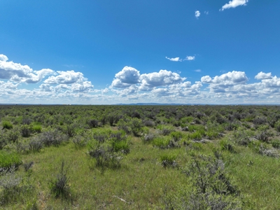 Eastern Oregon Country Sage Acres - image 19