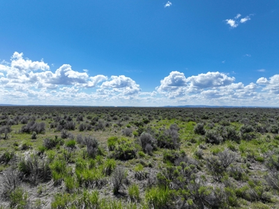 Eastern Oregon Country Sage Acres - image 16