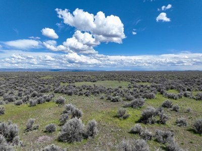 Eastern Oregon Country Sage Acres - image 8