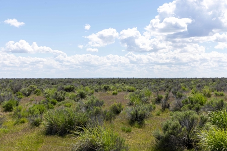 Eastern Oregon Country Sage Acres - image 4
