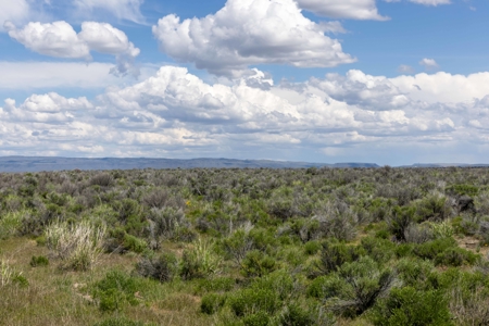 Eastern Oregon Country Sage Acres - image 3