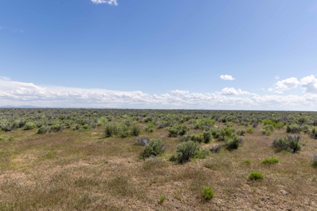 Eastern Oregon Country Sage Acres - image 1