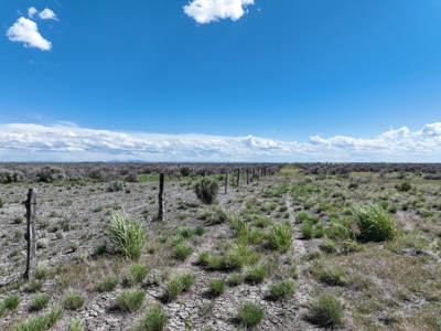 Eastern Oregon Country Sage Acres - image 11