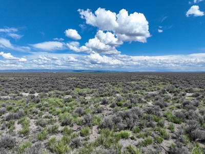 Eastern Oregon Country Sage Acres - image 9