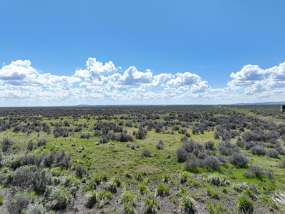 Eastern Oregon Country Sage Acres - image 14