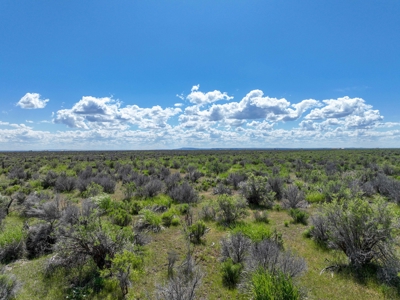 Eastern Oregon Country Sage Acres - image 18