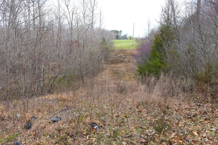 Hunting, Fishing, Woods, Building Sites, Road Frontage - image 6