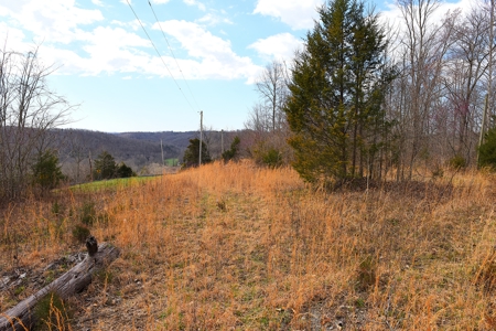 Hunting, Fishing, Woods, Building Sites, Road Frontage - image 4