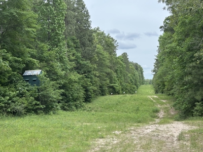 East Texas Hunting/Recreational/Timber Land For Sale - image 19