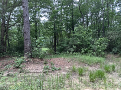 East Texas Hunting/Recreational/Timber Land For Sale - image 13