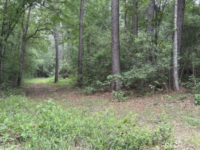 East Texas Hunting/Recreational/Timber Land For Sale - image 20
