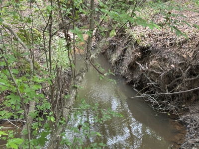 East Texas Hunting/Recreational/Timber Land For Sale - image 23