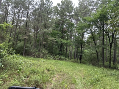 East Texas Hunting/Recreational/Timber Land For Sale - image 6