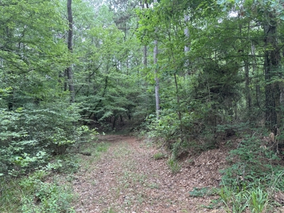 East Texas Hunting/Recreational/Timber Land For Sale - image 18