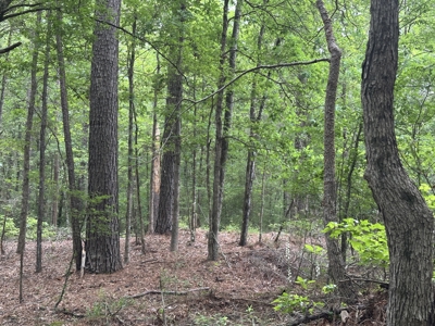 East Texas Hunting/Recreational/Timber Land For Sale - image 24