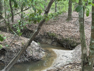 East Texas Hunting/Recreational/Timber Land For Sale - image 25