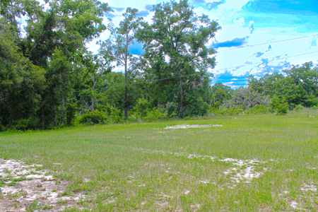 Country Home For Sale In Lafayette County!!! - image 43