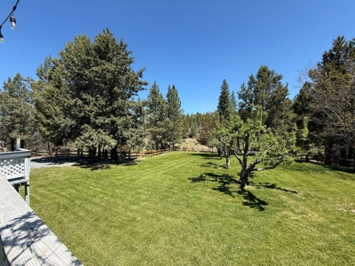 Beautiful Maintained Home on Pristine Land! - image 7