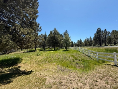 Beautiful Maintained Home on Pristine Land! - image 26