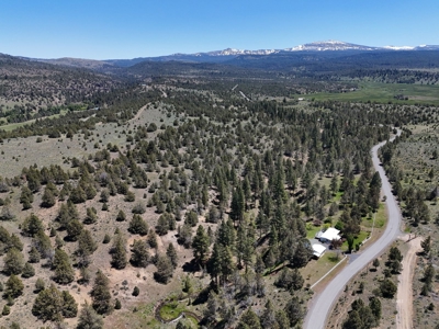 Beautiful Maintained Home on Pristine Land! - image 32