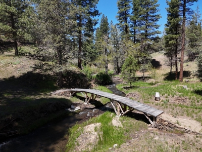 Beautiful Maintained Home on Pristine Land! - image 29