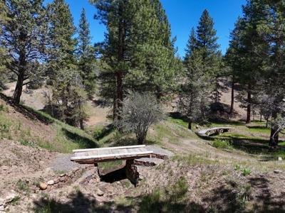 Beautiful Maintained Home on Pristine Land! - image 28
