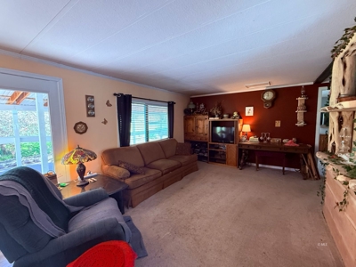 Beautiful Maintained Home on Pristine Land! - image 14