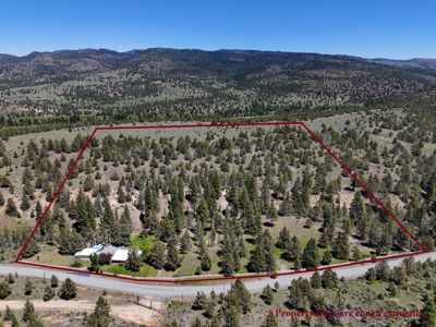 Beautiful Maintained Home on Pristine Land! - image 31