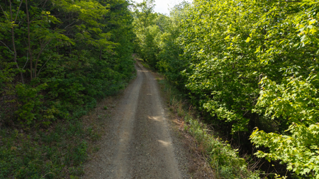 Wooded Land for Sale in Moravian Falls NC - image 33
