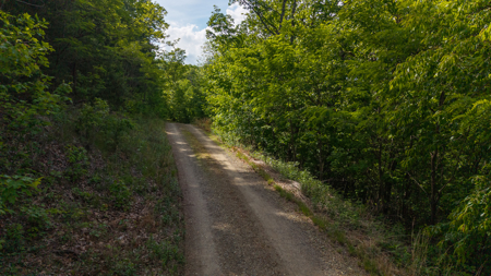 Wooded Land for Sale in Moravian Falls NC - image 32