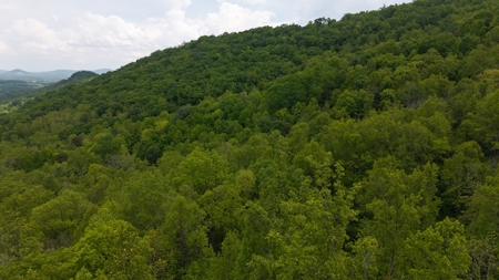 Offering #1 - Wooded Building Lot for Sale in NC - image 4