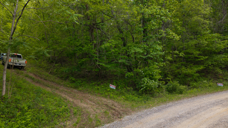 Wooded Land for Sale in Moravian Falls NC - image 6