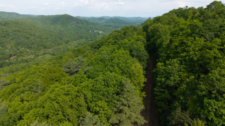 Wooded Land for Sale in Moravian Falls NC - image 36