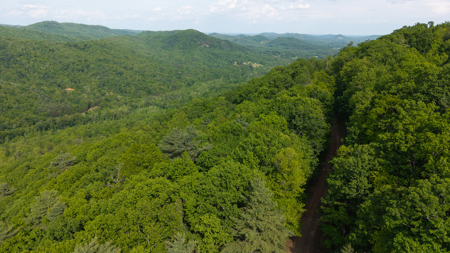 Wooded Land for Sale in Moravian Falls NC - image 35