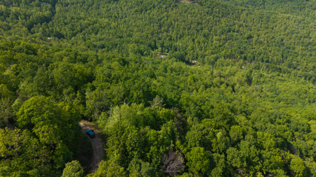 Wooded Land for Sale in Moravian Falls NC - image 28