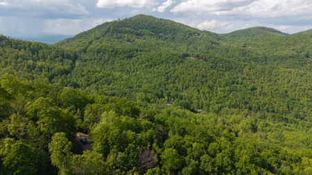 Wooded Land for Sale in Moravian Falls NC - image 27
