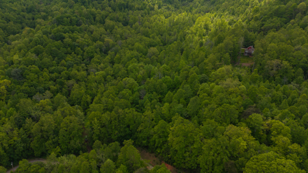 Wooded Land for Sale in Moravian Falls NC - image 1