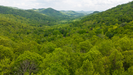 Wooded Land for Sale in Moravian Falls NC - image 3