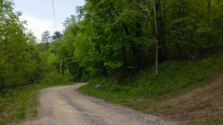 Wooded Land for Sale in Moravian Falls NC - image 13