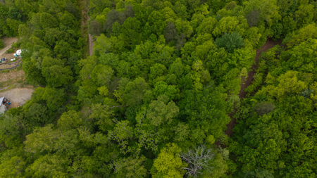 Wooded Land for Sale in Moravian Falls NC - image 9