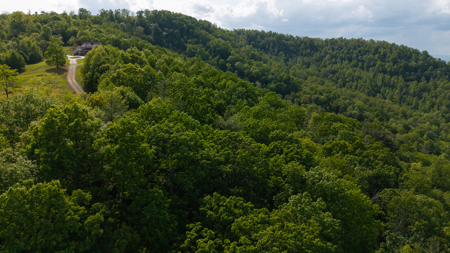 Wooded Land for Sale in Moravian Falls NC - image 34