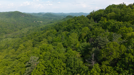 Wooded Land for Sale in Moravian Falls NC - image 37