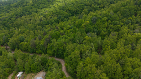 Wooded Land for Sale in Moravian Falls NC - image 8