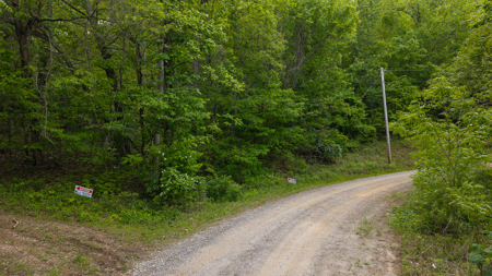 Wooded Land for Sale in Moravian Falls NC - image 7