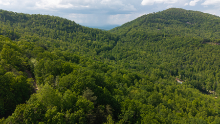 Wooded Land for Sale in Moravian Falls NC - image 26